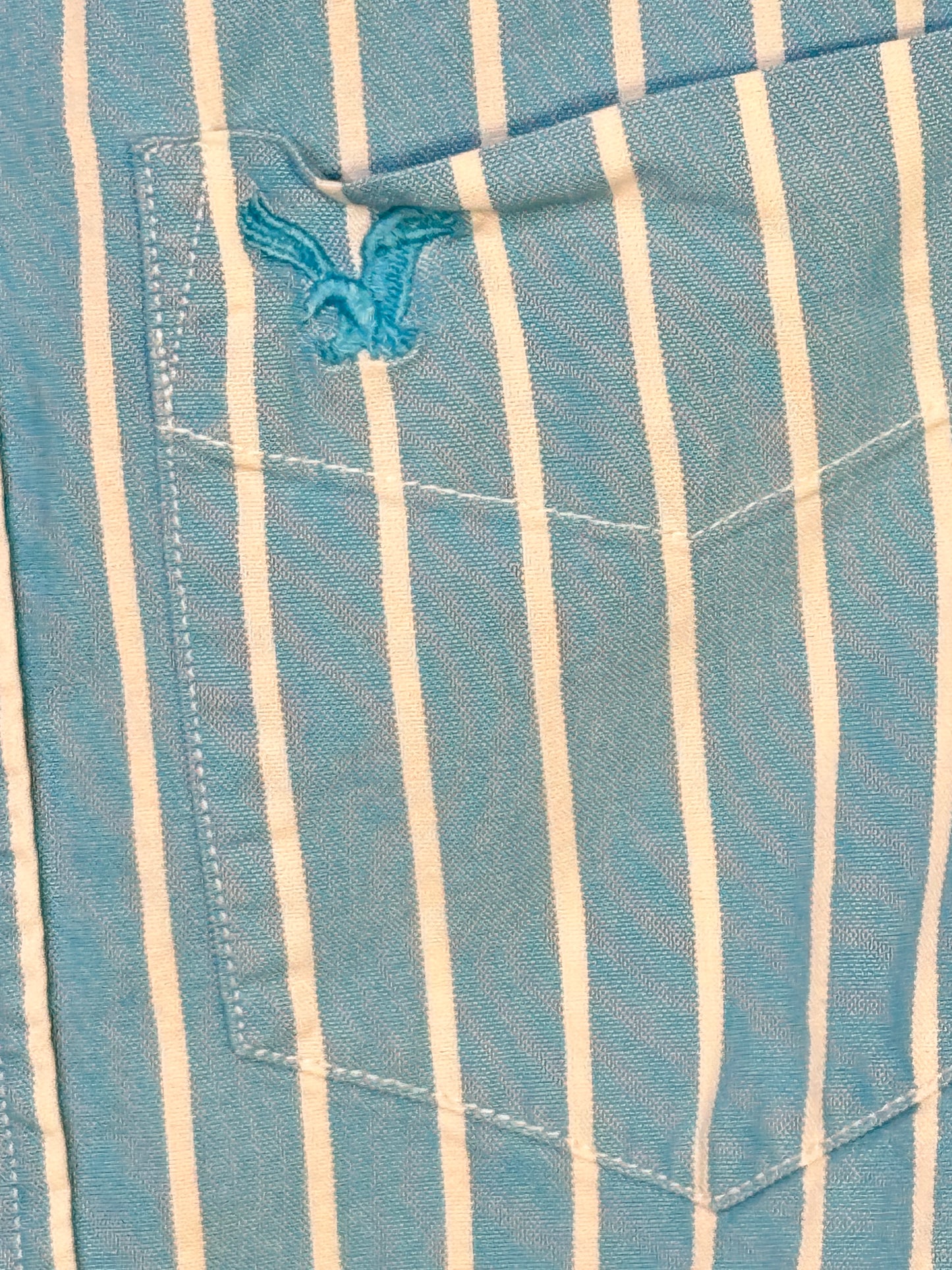 Reworked American Eagle Button Down